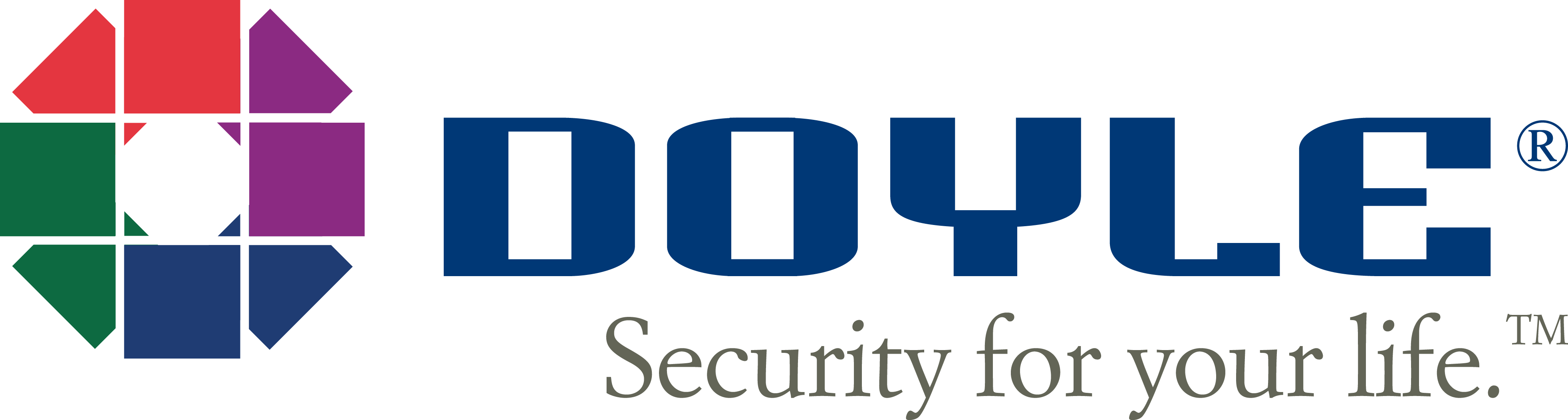 doyle security logo